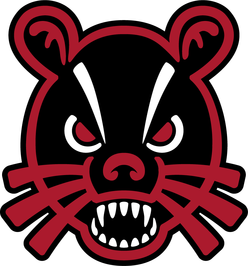 Cincinnati Bearcats 2018-Pres Secondary Logo iron on transfers for clothing
